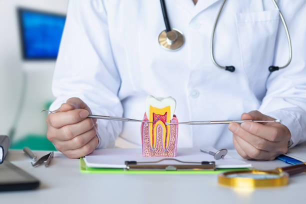 Best Pediatric Emergency Dentist in Grenelefe, FL